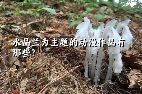 水晶兰为主题的动漫作品有那些？