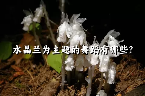 水晶兰为主题的舞蹈有哪些？