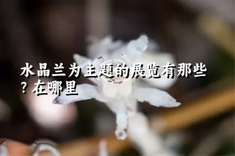 水晶兰为主题的展览有那些？在哪里