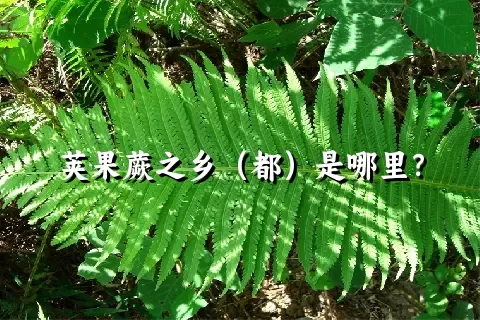 荚果蕨之乡（都）是哪里？