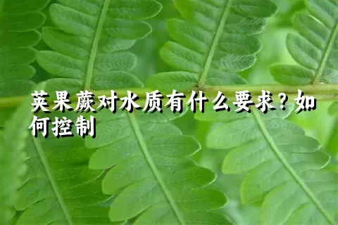 荚果蕨对水质有什么要求？如何控制