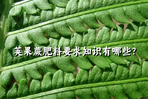 荚果蕨肥料要求知识有哪些？