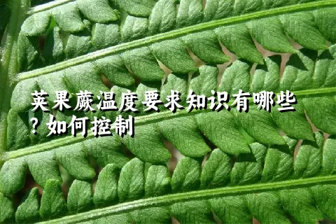 荚果蕨温度要求知识有哪些？如何控制