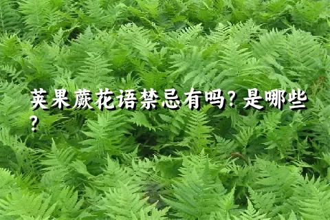 荚果蕨花语禁忌有吗？是哪些？