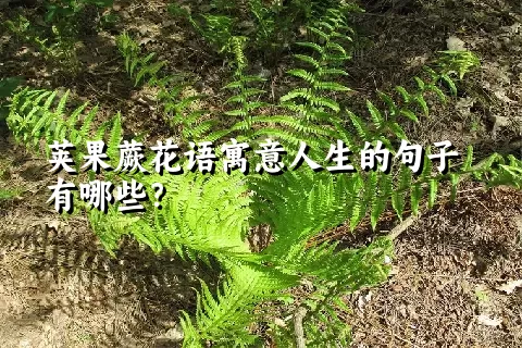 荚果蕨花语寓意人生的句子有哪些？