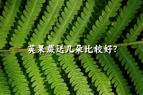 荚果蕨送几朵比较好？