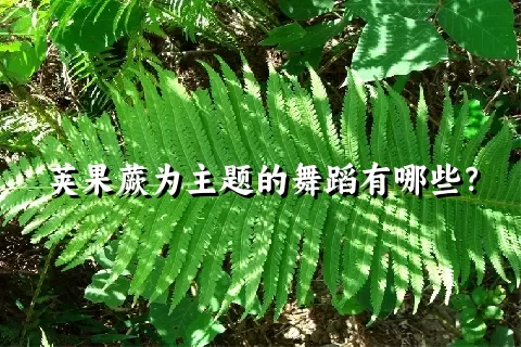 荚果蕨为主题的舞蹈有哪些？