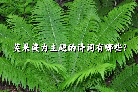 荚果蕨为主题的诗词有哪些？