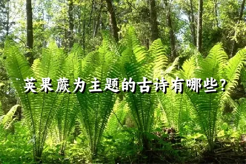 荚果蕨为主题的古诗有哪些？