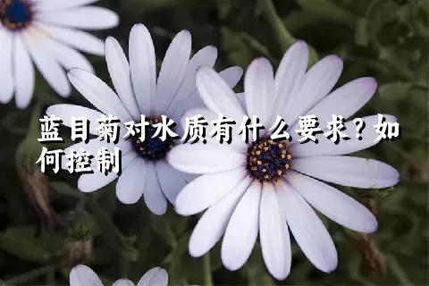 蓝目菊对水质有什么要求？如何控制