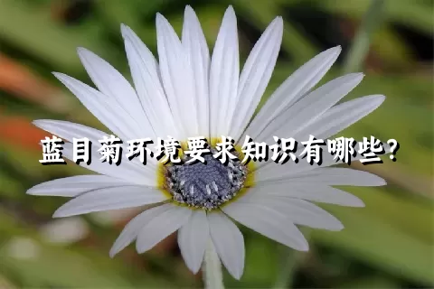 蓝目菊环境要求知识有哪些？