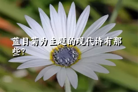 蓝目菊为主题的现代诗有那些？