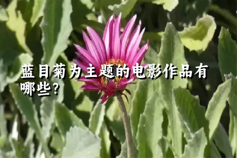 蓝目菊为主题的电影作品有哪些？