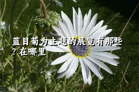 蓝目菊为主题的展览有那些？在哪里