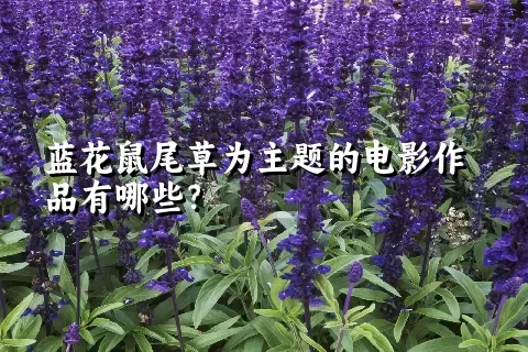 蓝花鼠尾草为主题的电影作品有哪些？