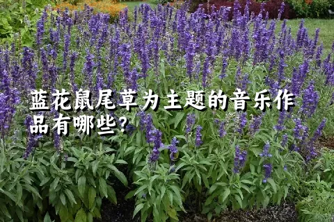 蓝花鼠尾草为主题的音乐作品有哪些？