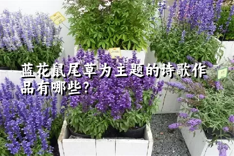 蓝花鼠尾草为主题的诗歌作品有哪些？