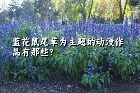 蓝花鼠尾草为主题的动漫作品有那些？