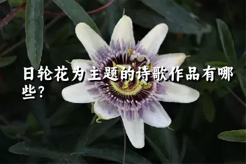 日轮花为主题的诗歌作品有哪些？