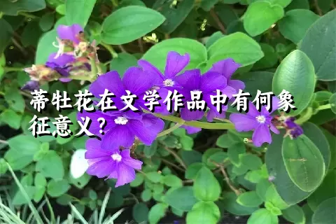 蒂牡花在文学作品中有何象征意义？