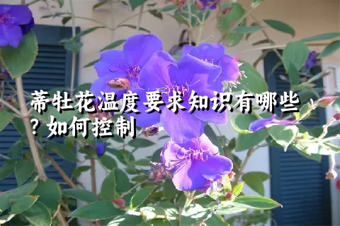 蒂牡花温度要求知识有哪些？如何控制