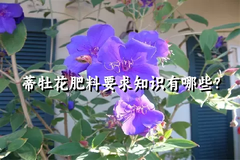 蒂牡花肥料要求知识有哪些？