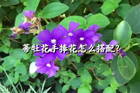 蒂牡花手捧花怎么搭配？