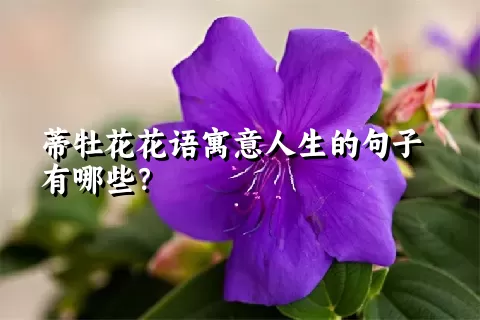 蒂牡花花语寓意人生的句子有哪些？