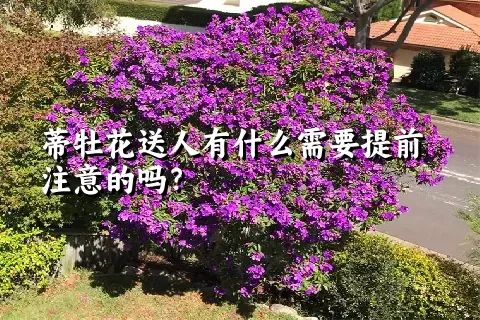 蒂牡花送人有什么需要提前注意的吗？