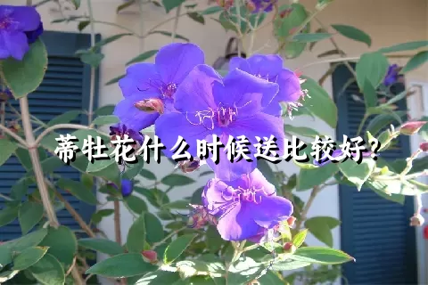 蒂牡花什么时候送比较好？