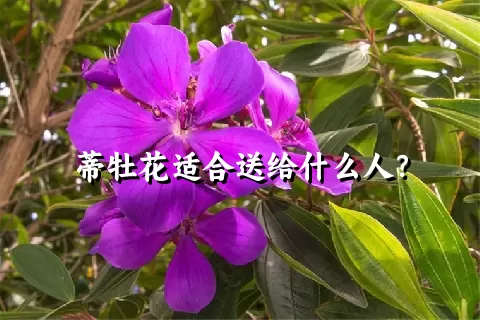 蒂牡花适合送给什么人？