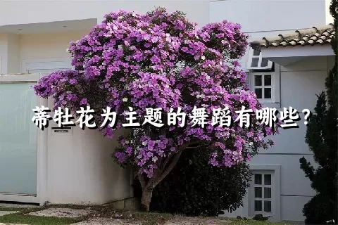 蒂牡花为主题的舞蹈有哪些？