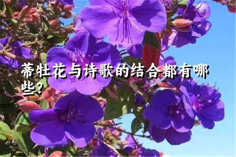 蒂牡花与诗歌的结合都有哪些？