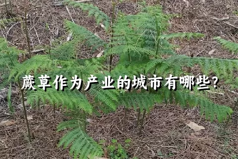 蕨草作为产业的城市有哪些？