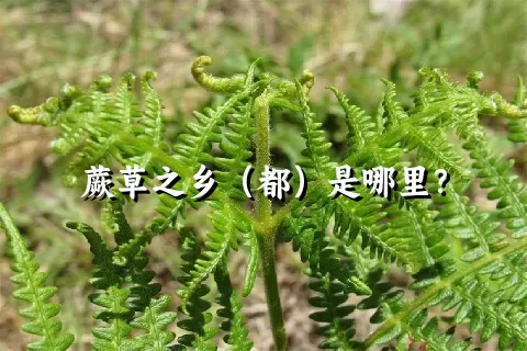 蕨草之乡（都）是哪里？