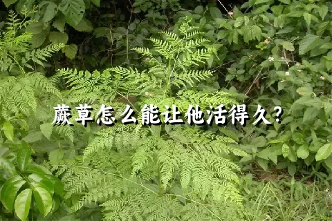 蕨草怎么能让他活得久？