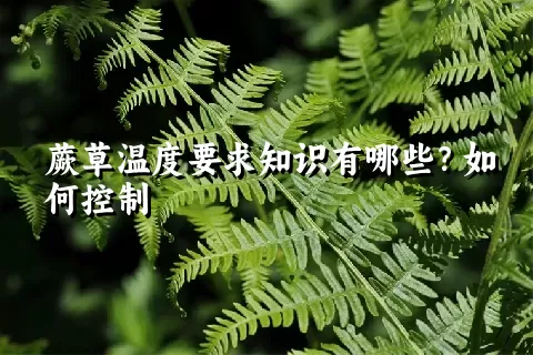 蕨草温度要求知识有哪些？如何控制