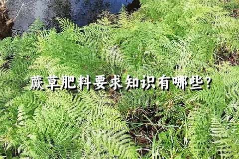 蕨草肥料要求知识有哪些？