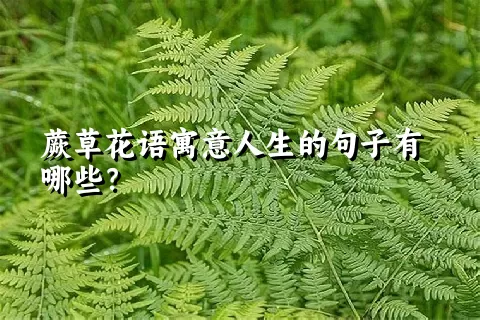 蕨草花语寓意人生的句子有哪些？