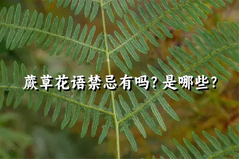 蕨草花语禁忌有吗？是哪些？