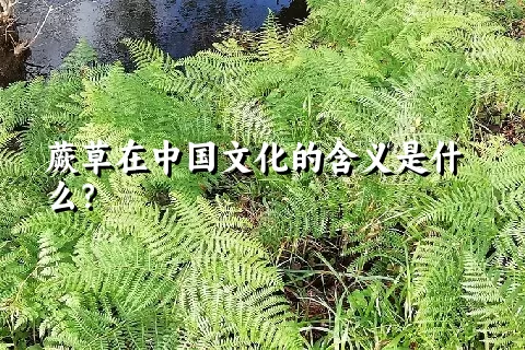 蕨草在中国文化的含义是什么？