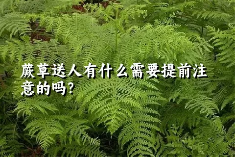 蕨草送人有什么需要提前注意的吗？