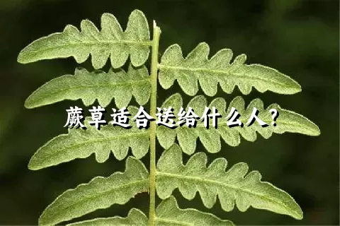 蕨草适合送给什么人？