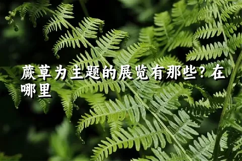 蕨草为主题的展览有那些？在哪里