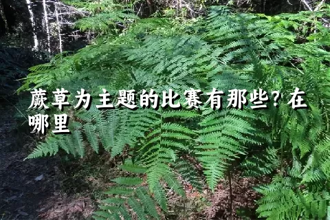 蕨草为主题的比赛有那些？在哪里