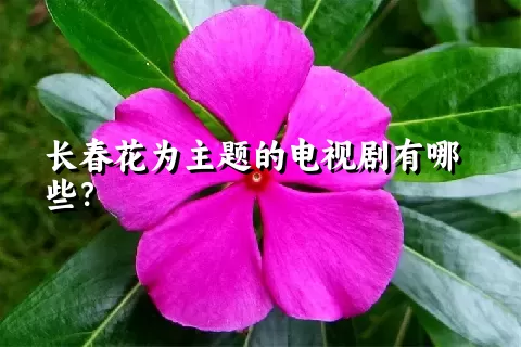 长春花为主题的电视剧有哪些？