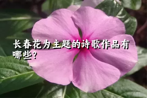 长春花为主题的诗歌作品有哪些？