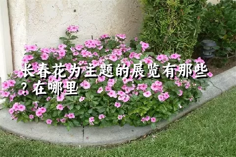 长春花为主题的展览有那些？在哪里