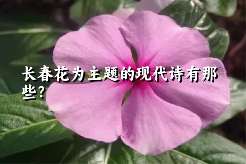 长春花为主题的现代诗有那些？