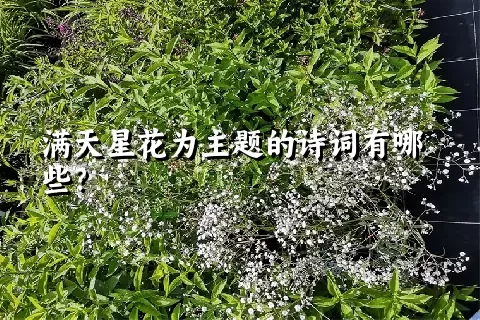 满天星花为主题的诗词有哪些？